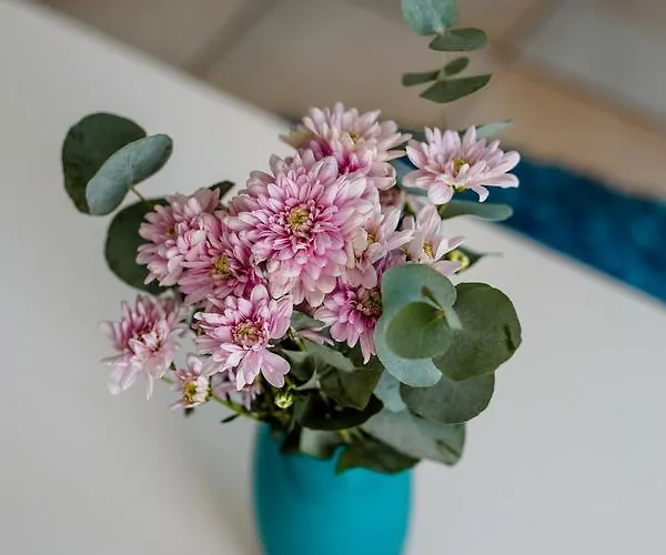 Krasas Apts * Λάρνακα